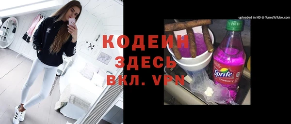 прущие грибы Заволжье