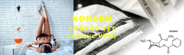прущие грибы Заволжье