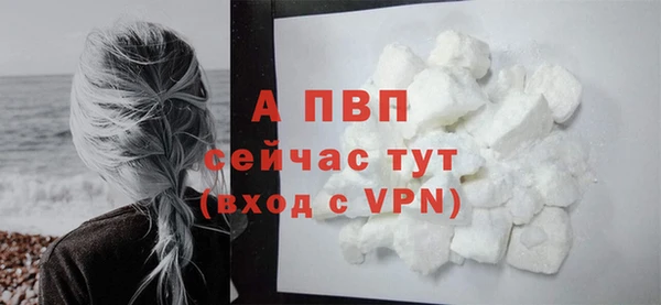 прущие грибы Заволжье