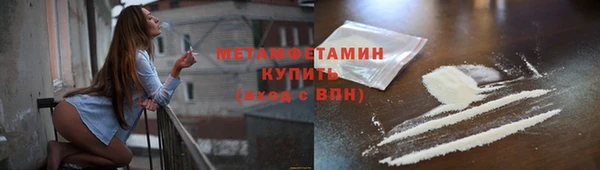 прущие грибы Заволжье