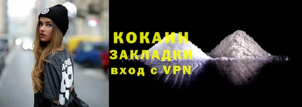 прущие грибы Заволжье