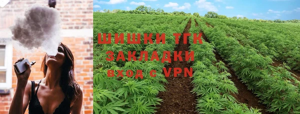прущие грибы Заволжье