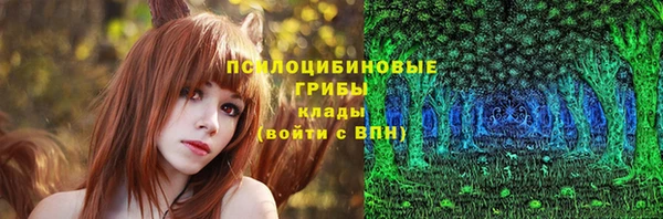 прущие грибы Заволжье