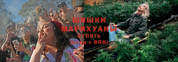 прущие грибы Заволжье