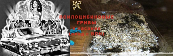 кристаллы Заводоуковск