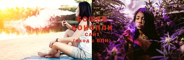 прущие грибы Заволжье
