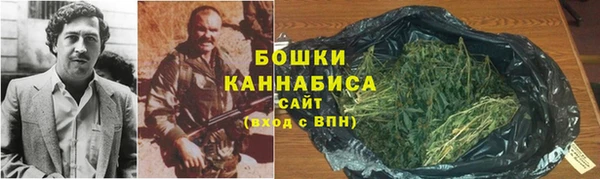 прущие грибы Заволжье